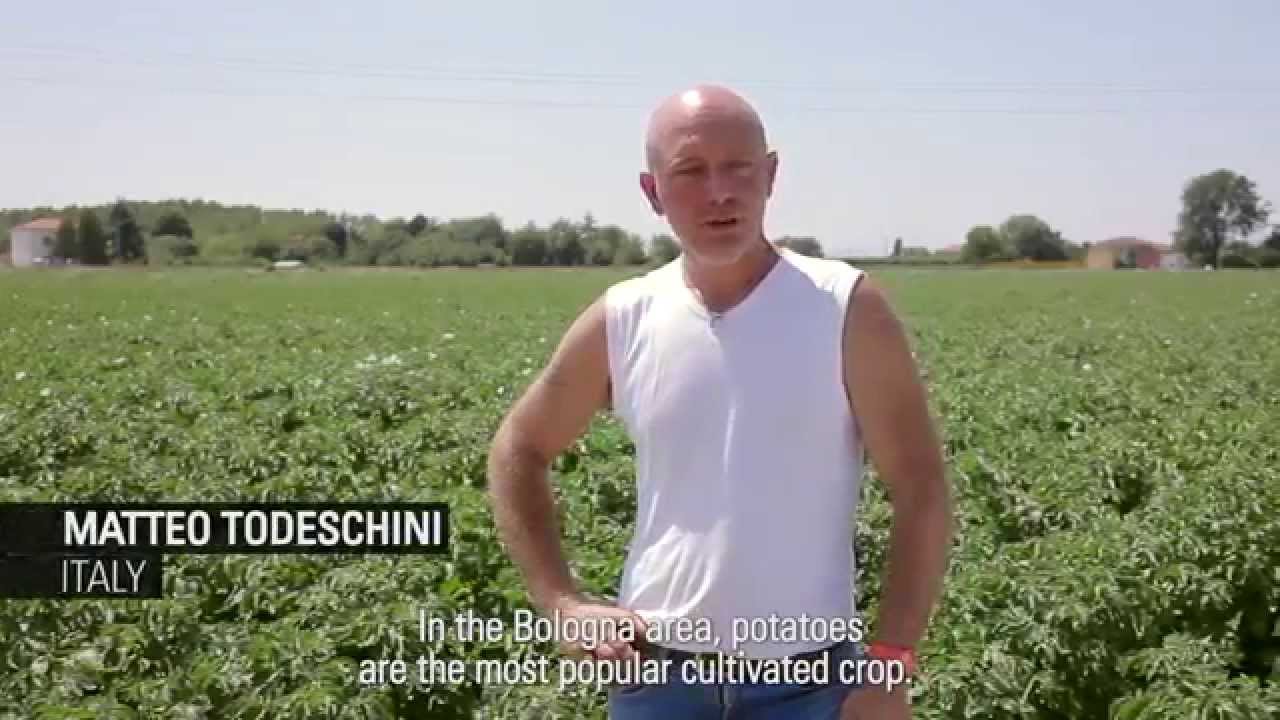 Growing Potatoes with Drip in Italy: Netafim Customer Testimonial