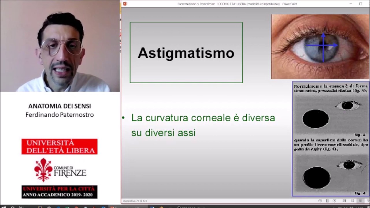 ANATOMIA DEI SENSI (3) Vie ottiche. Udito, prima parte
