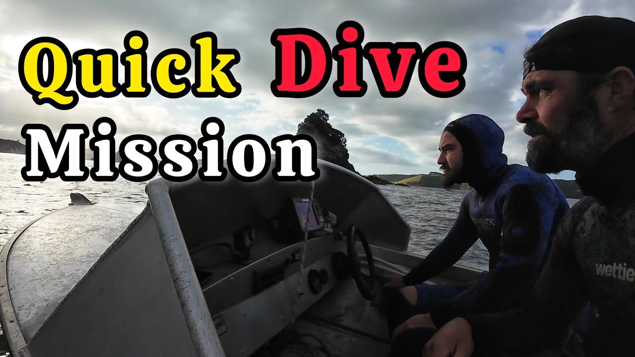 Spearfishing & Fishing Mission with Quin! EPIC Catch and Cook (Fresh Ceviche!)