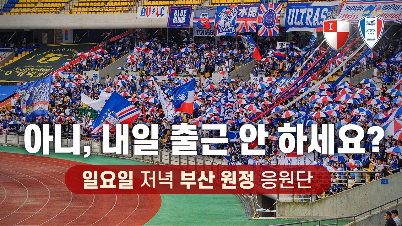 [4K] 일요일 저녁 부산으로 원정 응원 간 2천 명이 있다? ( 2024 K리그 직관 브이로그 / 부산아이파크 vs 수원삼성 / 프렌테 트리콜로 수원삼성 응원 직캠 )