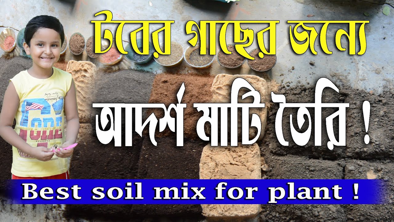 সব ধরনের গাছের জন্যে টবের আদর্শ মাটি তৈরি ! Best soil mix for fruit plant !