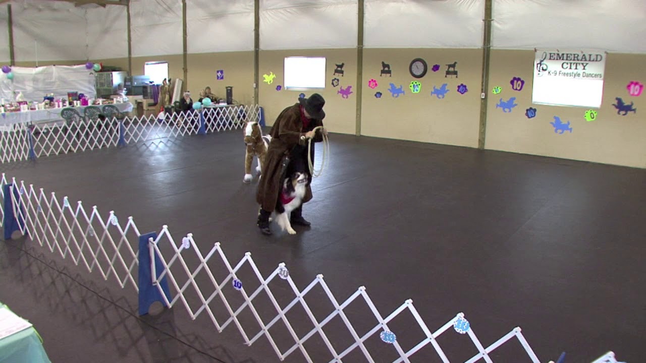 Michele & Sake Canine Freestyle   Ghost Riders in the Sky