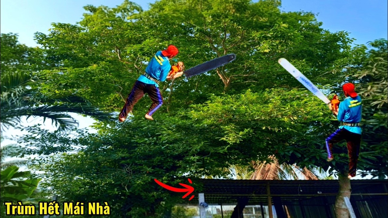 Cưa Cây Trâm Lớn Tàn Nhánh Um Tùm / Sawing the Trâm tree with its overgrown branches | P259