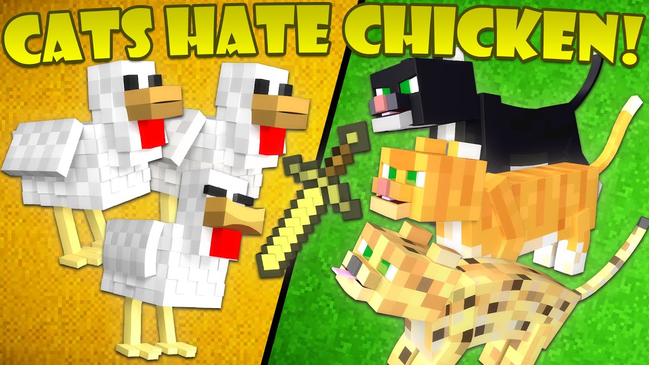 Why Cats Hate Chickens - Minecraft