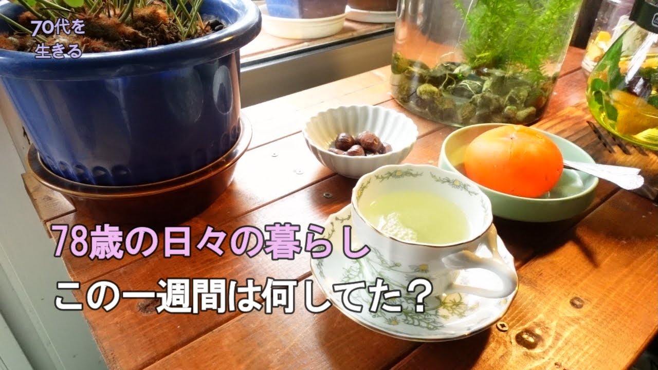 【70代を生きるNo.248】78歳の1週間の暮らしは、西新宿界隈を散歩し、昼食は都庁の職員食堂で。渋抜きに失敗した渋柿のシャーベット。水彩画