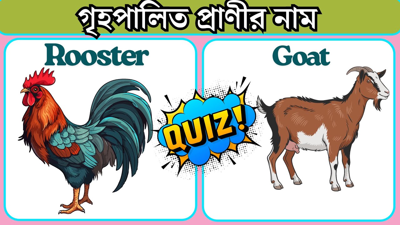 গৃহপালিত প্রাণীর নাম । Name of domestic animal