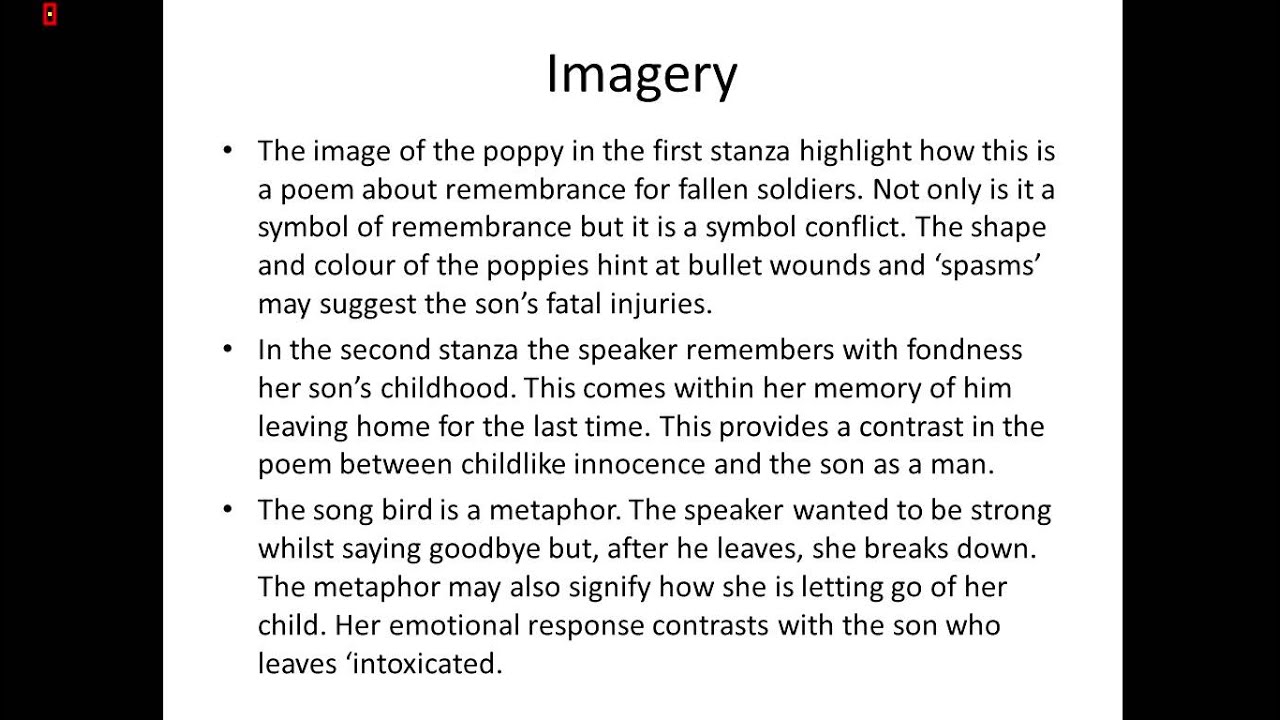 Analysis of Poppies by Jane Weir