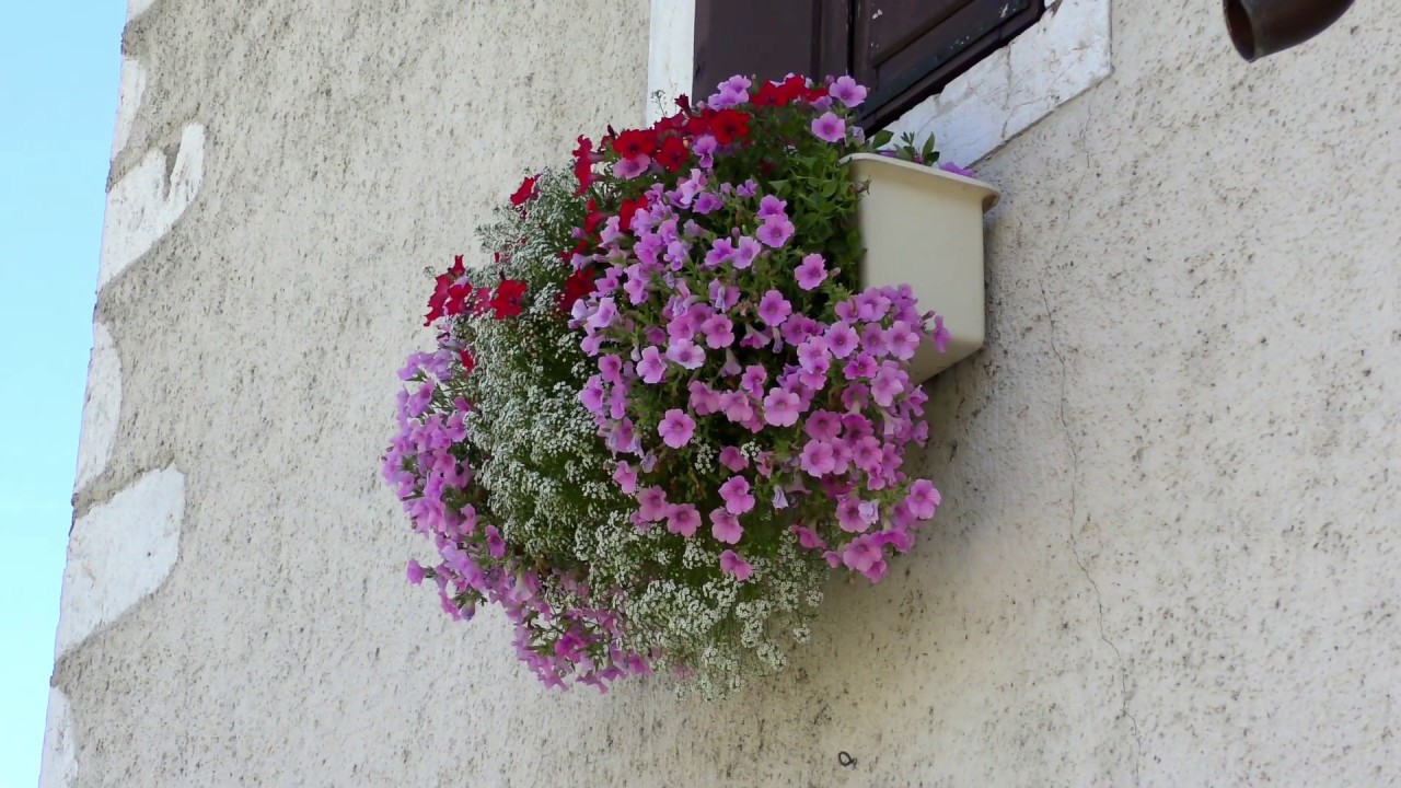 #Haute-#Savoie le typique petit village fleuri de #Duingt