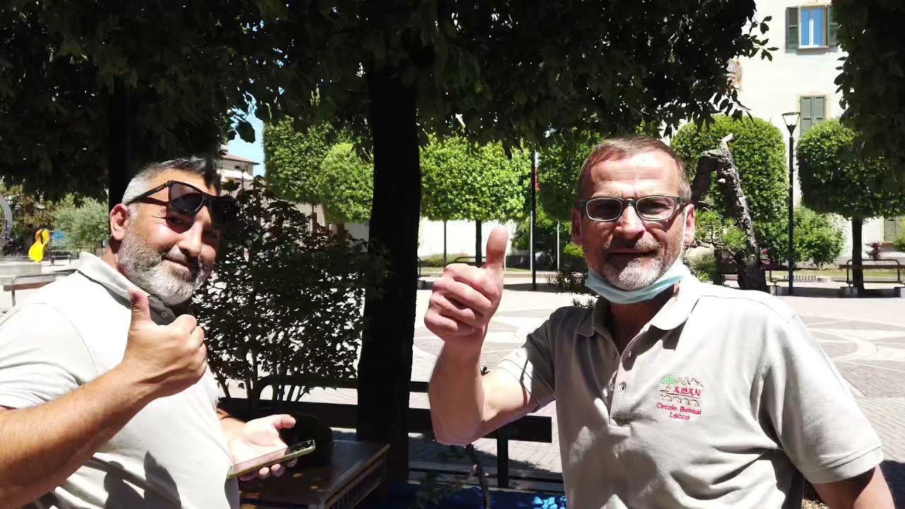 #2 #Esposizione #Bonsai Circolo Lecco 13/06/2021