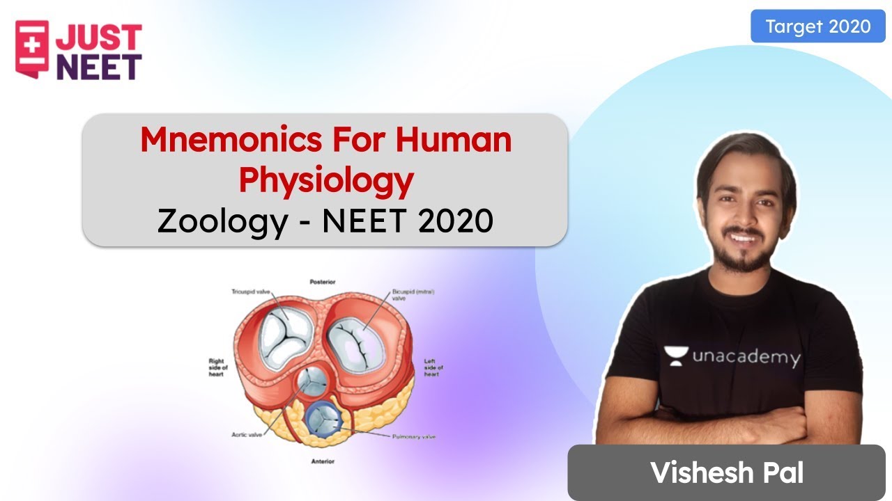 Mnemonics For Human Physiology  | Target 2020 | Just NEET  | Vishesh Pal