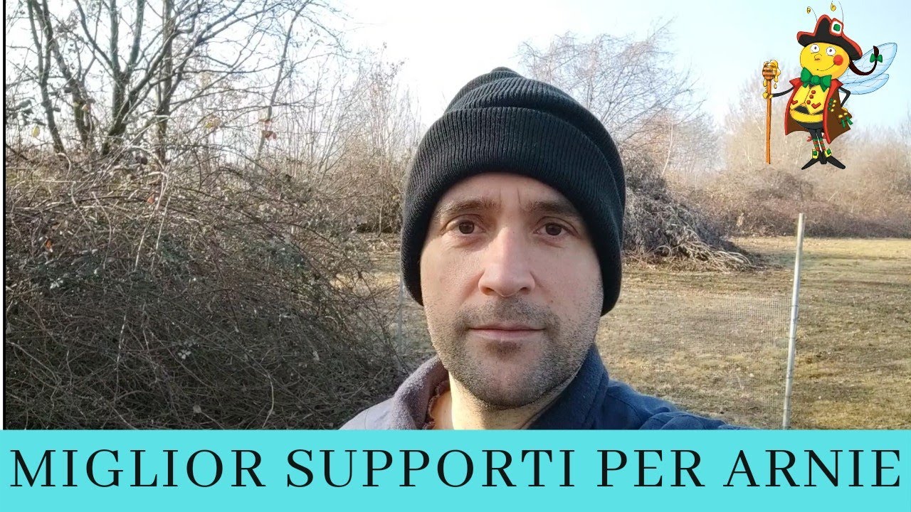 Miglior supporto per arnie e nuclei!!