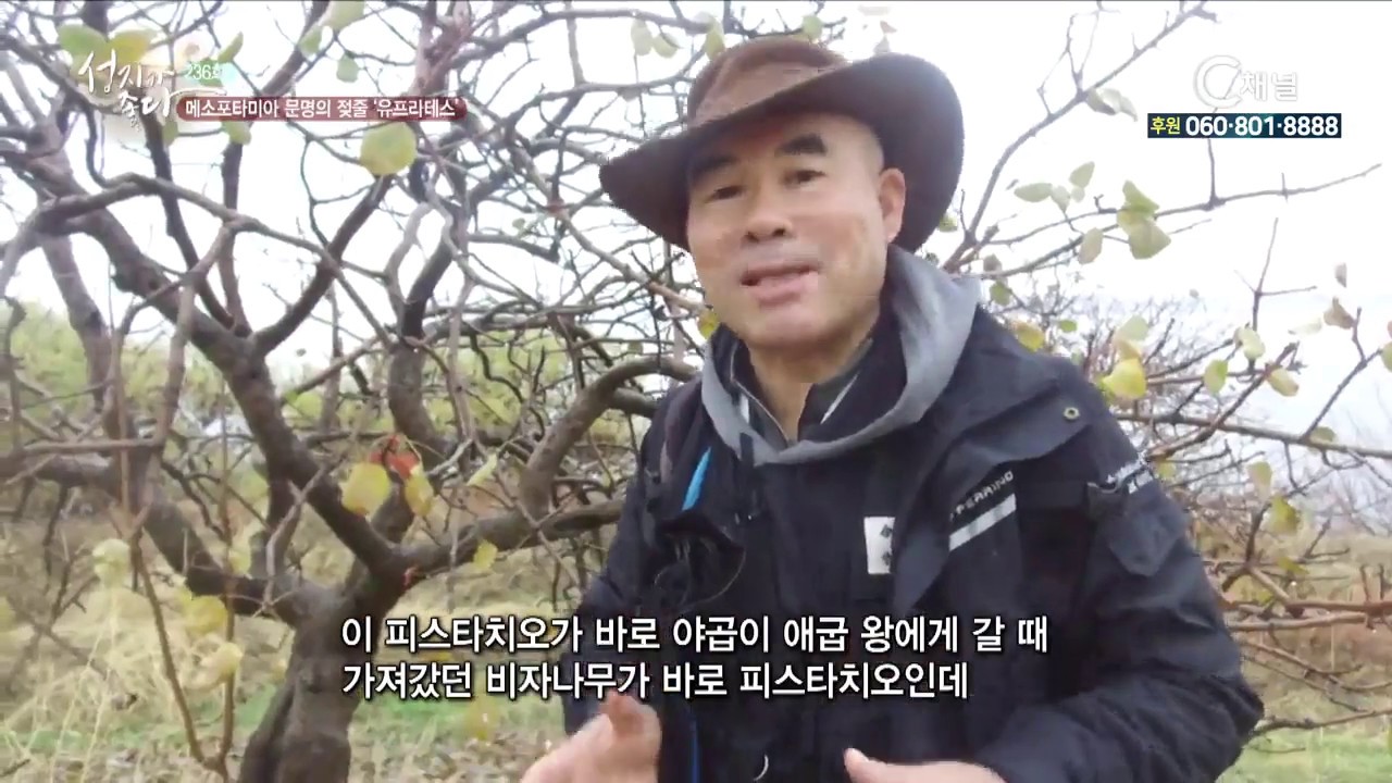 성지가 좋다 236회 메소포타미아 문명의 젖줄 ‘유프라테스’