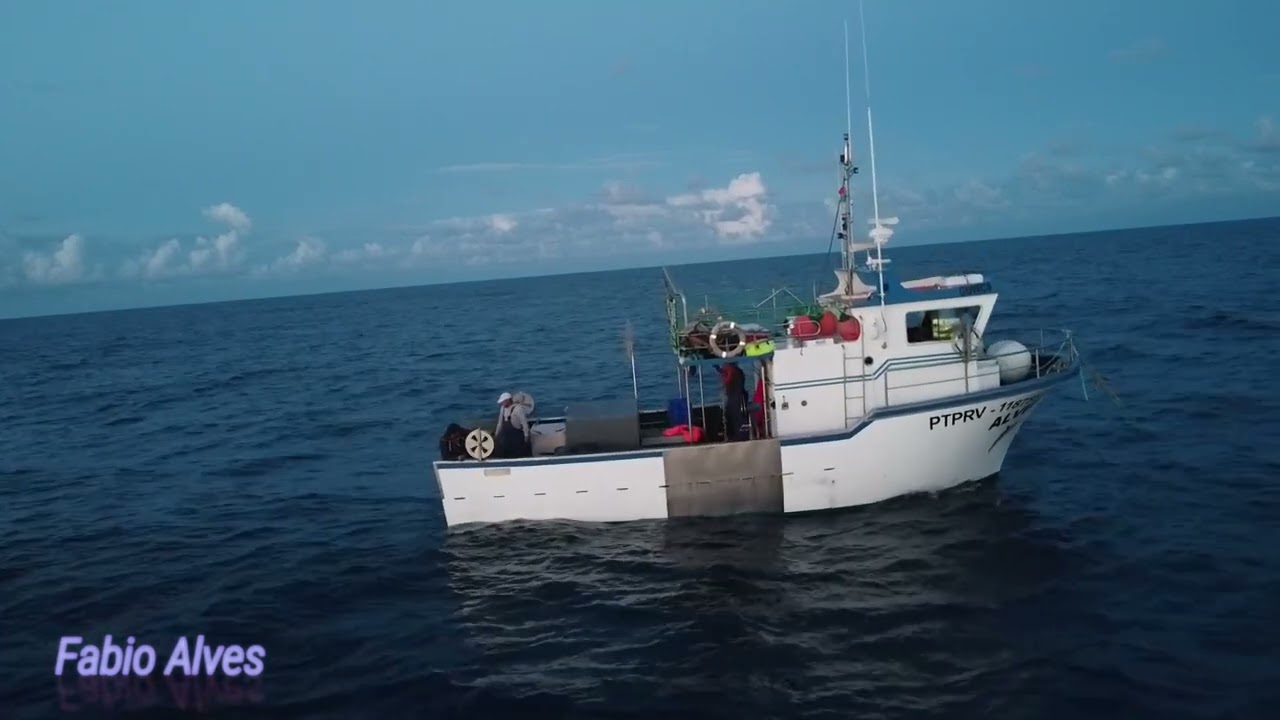 Pesca ao Goraz de engodo