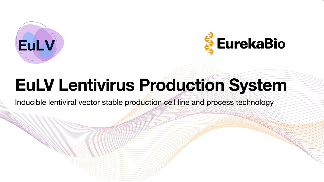 EuLV Intro: scalable lentiviral vector manufacture based on stable producer cell lines