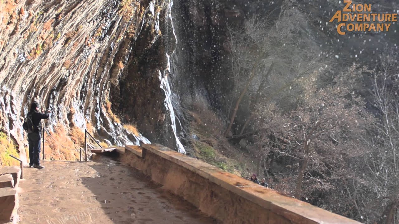 Featured Zion Hike: Weeping Rock