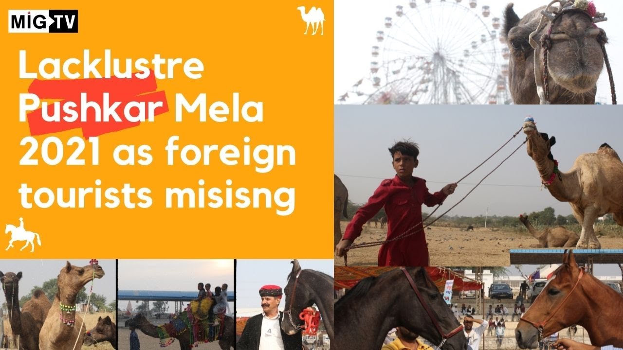 Pushkar Mela 2021 misses its soul -- foreign tourists | Rajasthan | India