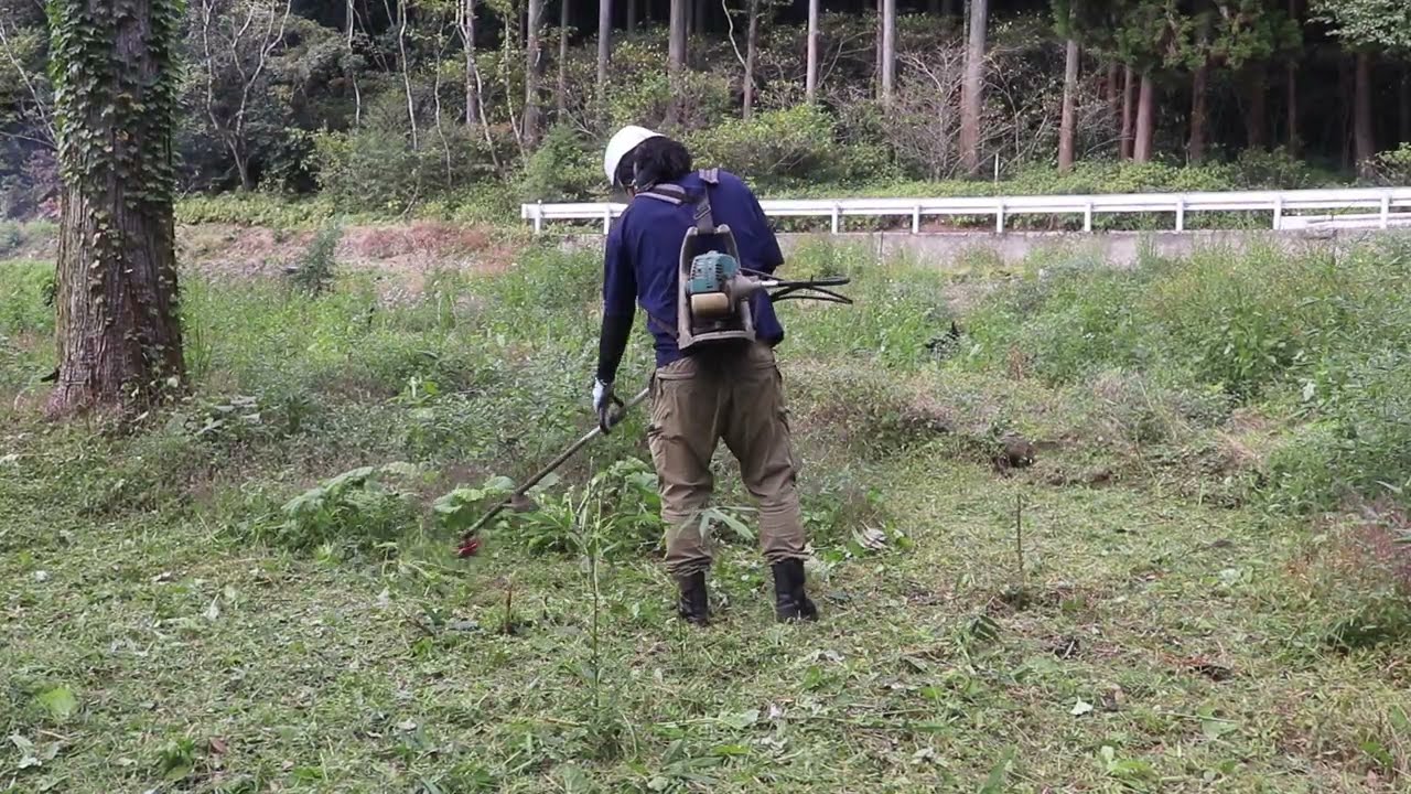 竹藪を放置していたら草と雑木が凄かったのでナイロンコードで粉砕する