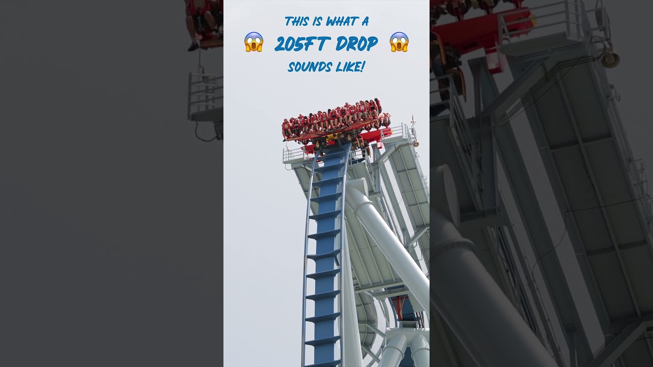 Griffon&rsquo;s 205ft Drop Will Make You Scream! #shorts