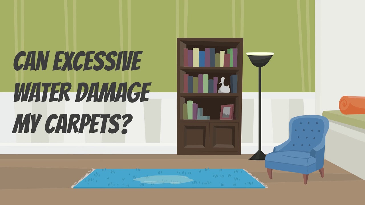 Water Damage and Carpet Cleaning &ndash; Concord Carpet and Rug Experts