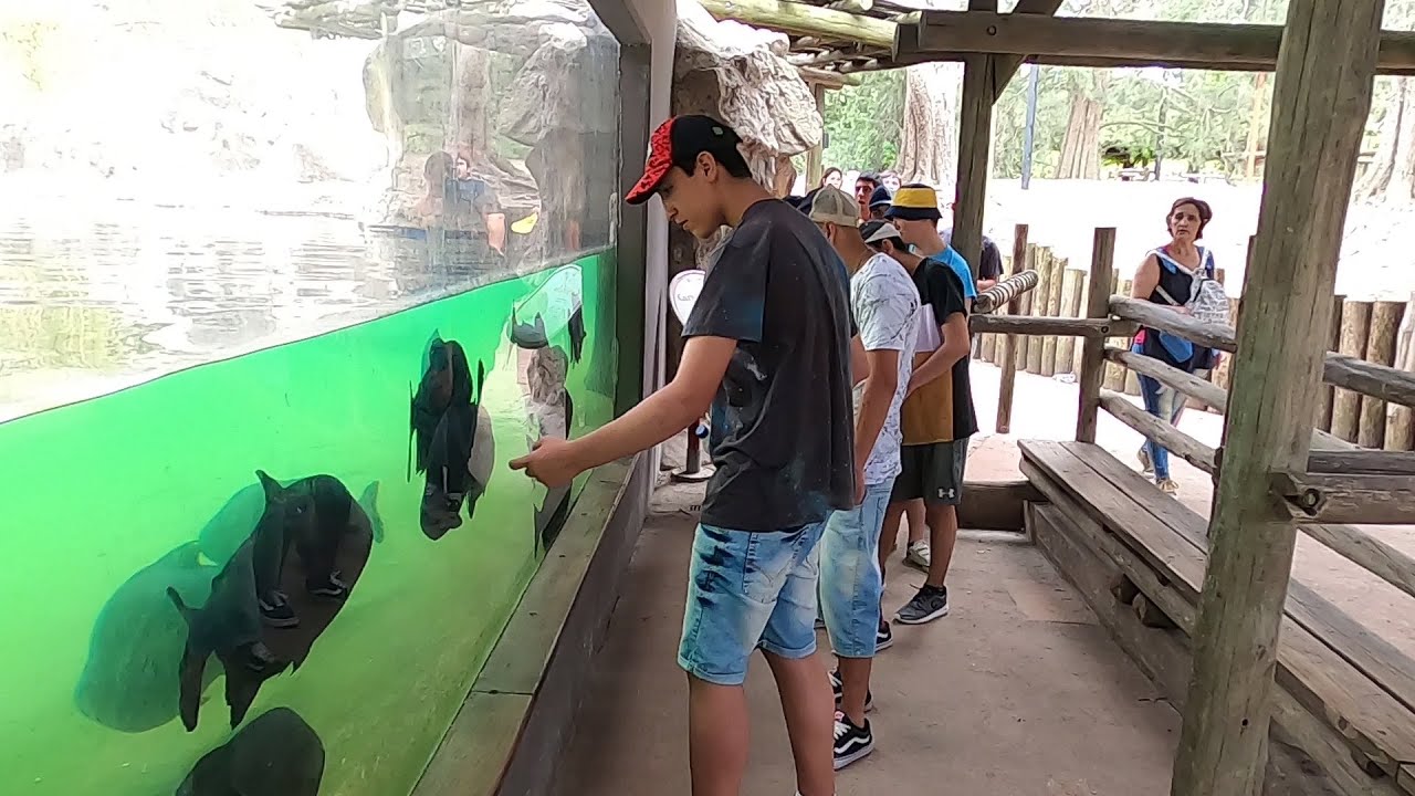 Visita a TEMAIKEN