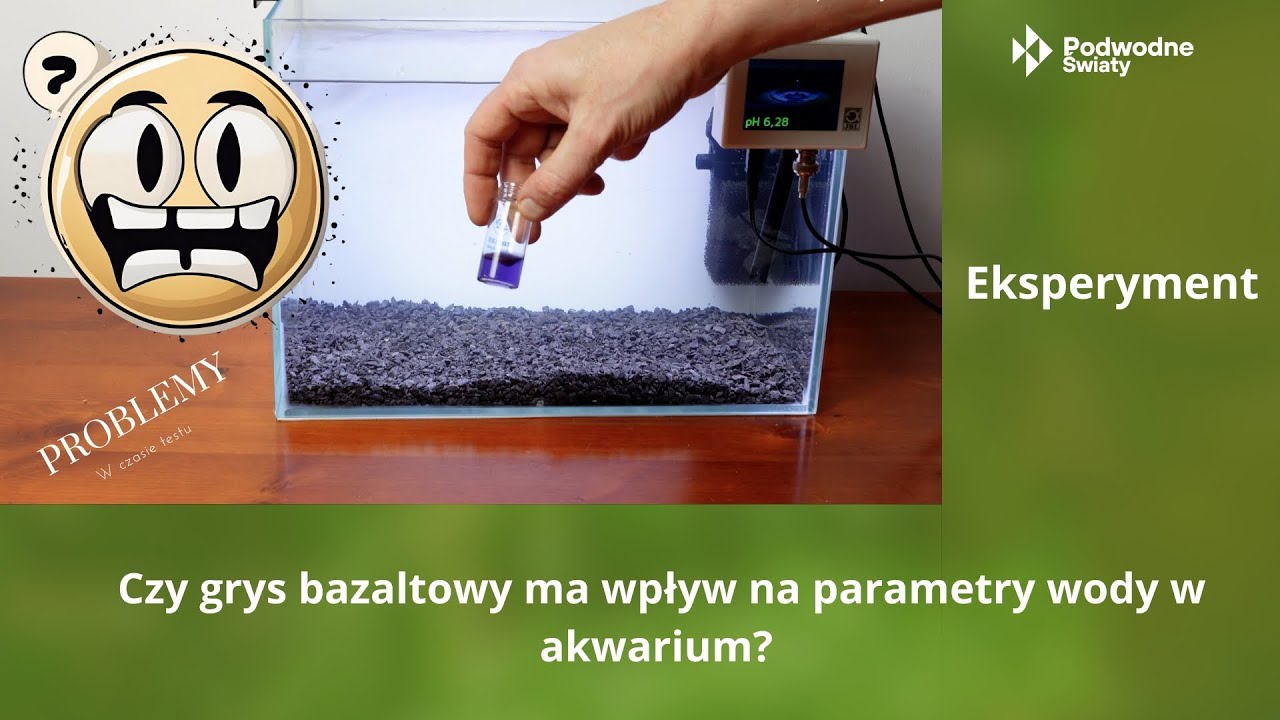 Eksperyment - Czy grys bazaltowy ma wpływ na parametry wody w akwarium?