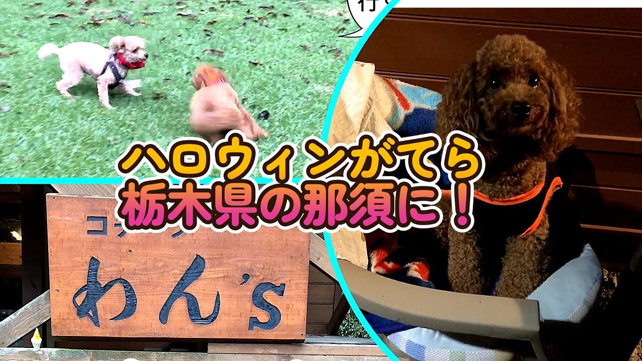 Nasu Cottage Wan'S [Проживание с собакой] ＃74