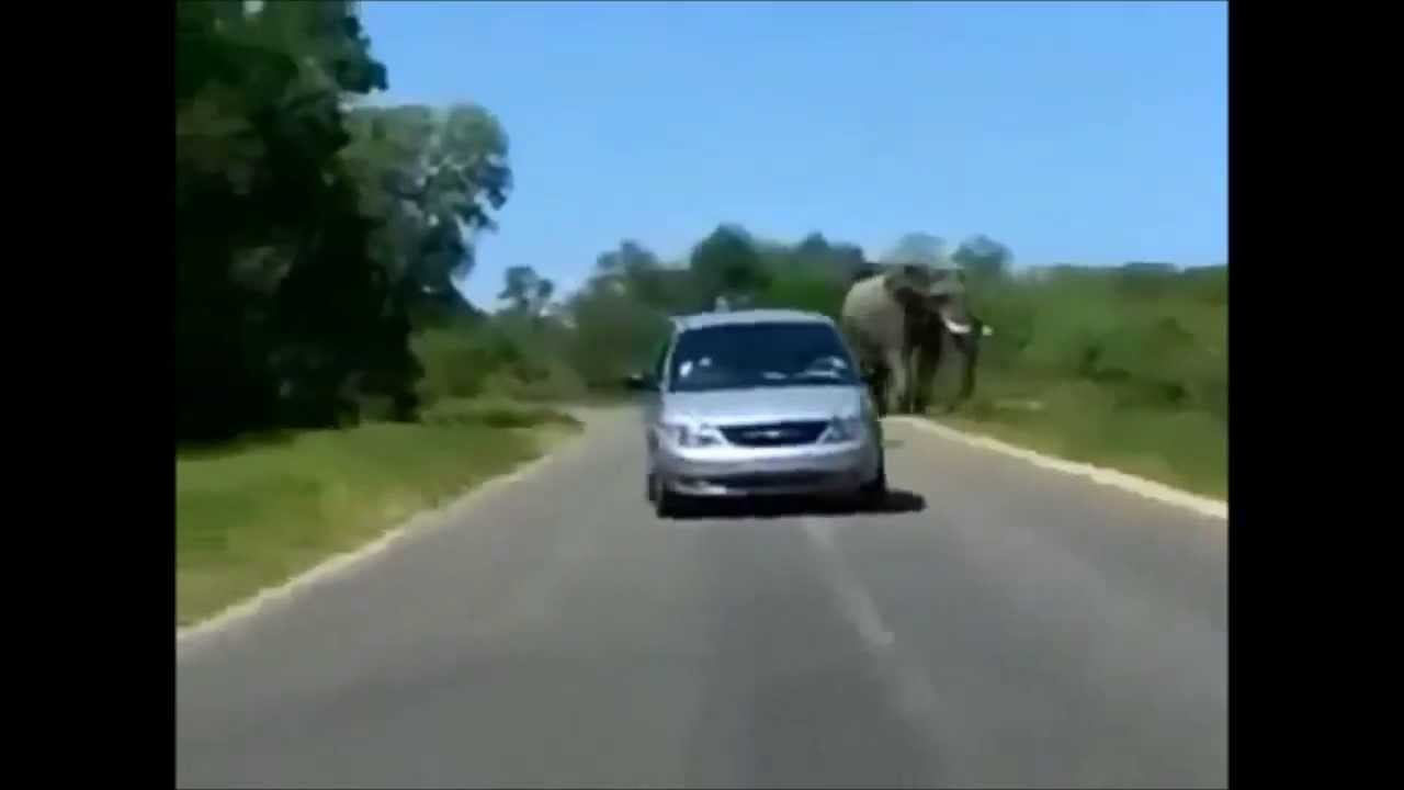 Close Call Compilation #1 - Almost accidents 2014