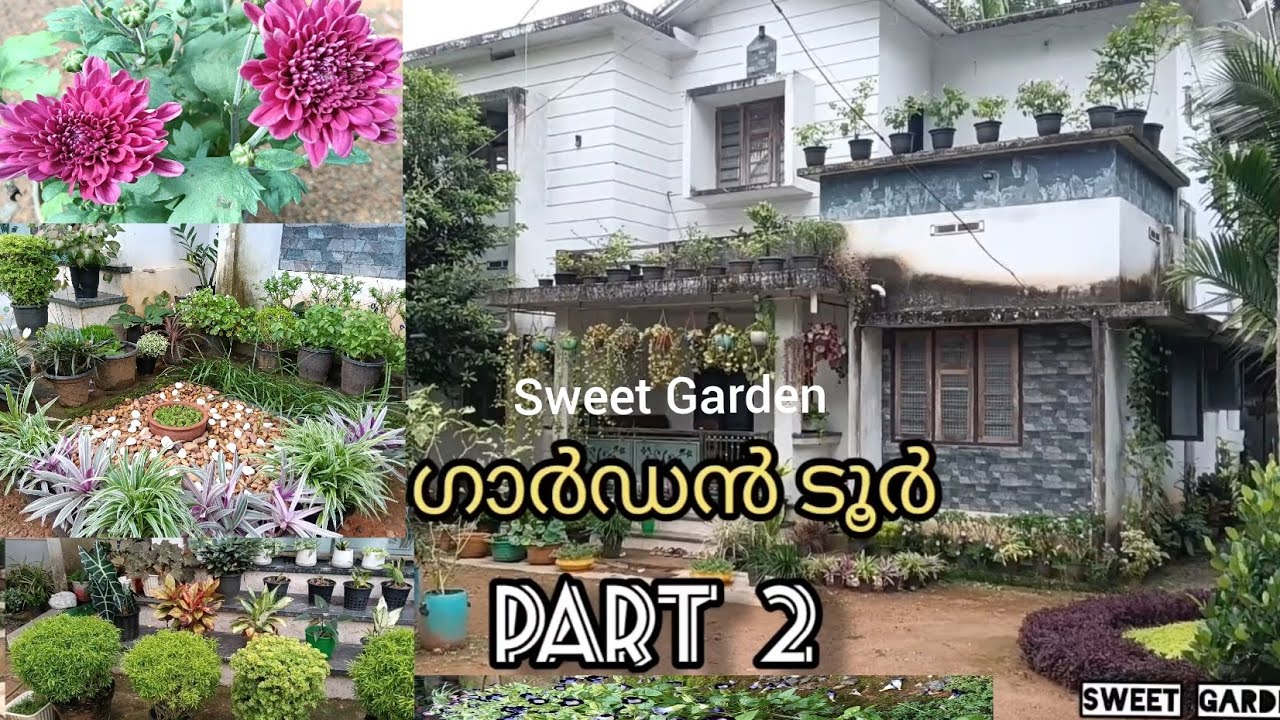 ഗാർഡൻ ടൂർ രണ്ടാം ഭാഗം | ചെടി വീട്ടിലെ വിശേഷങ്ങൾ | Sweet garden | Garden tour part 2| Gaden tips