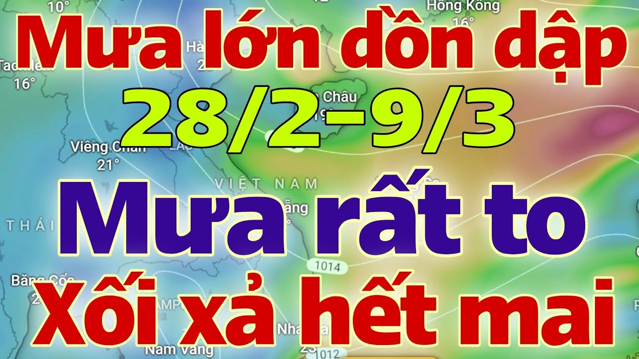 Dự báo thời tiết mới nhất ngày mai 28/2/2026 | dự báo bão mới nhất | thời tiết 3 ngày tới