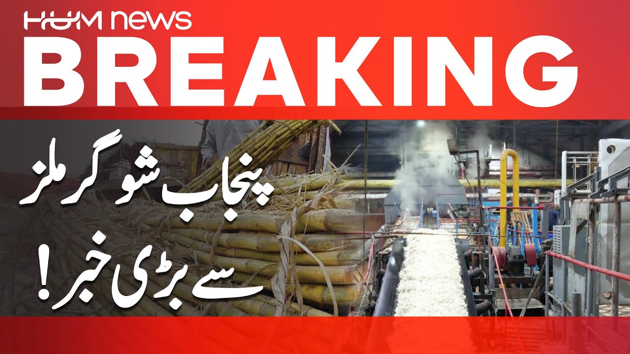 Major Update from Punjab Sugar Mills | Hum News | Pakistan