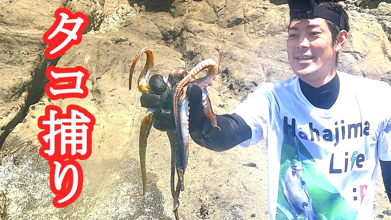 タコ釣りではなくタコ捕り方 小笠原諸島の磯遊びは食材探しin母島