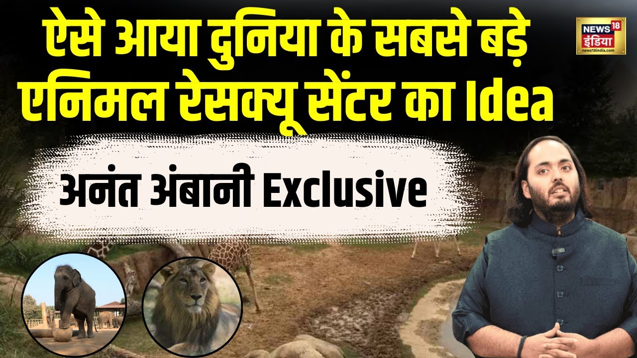 VANTARA :  Anant Ambani ने बताई Animal Rescue and Rehabilitation Center की खासियत | Jamnagar | N18V