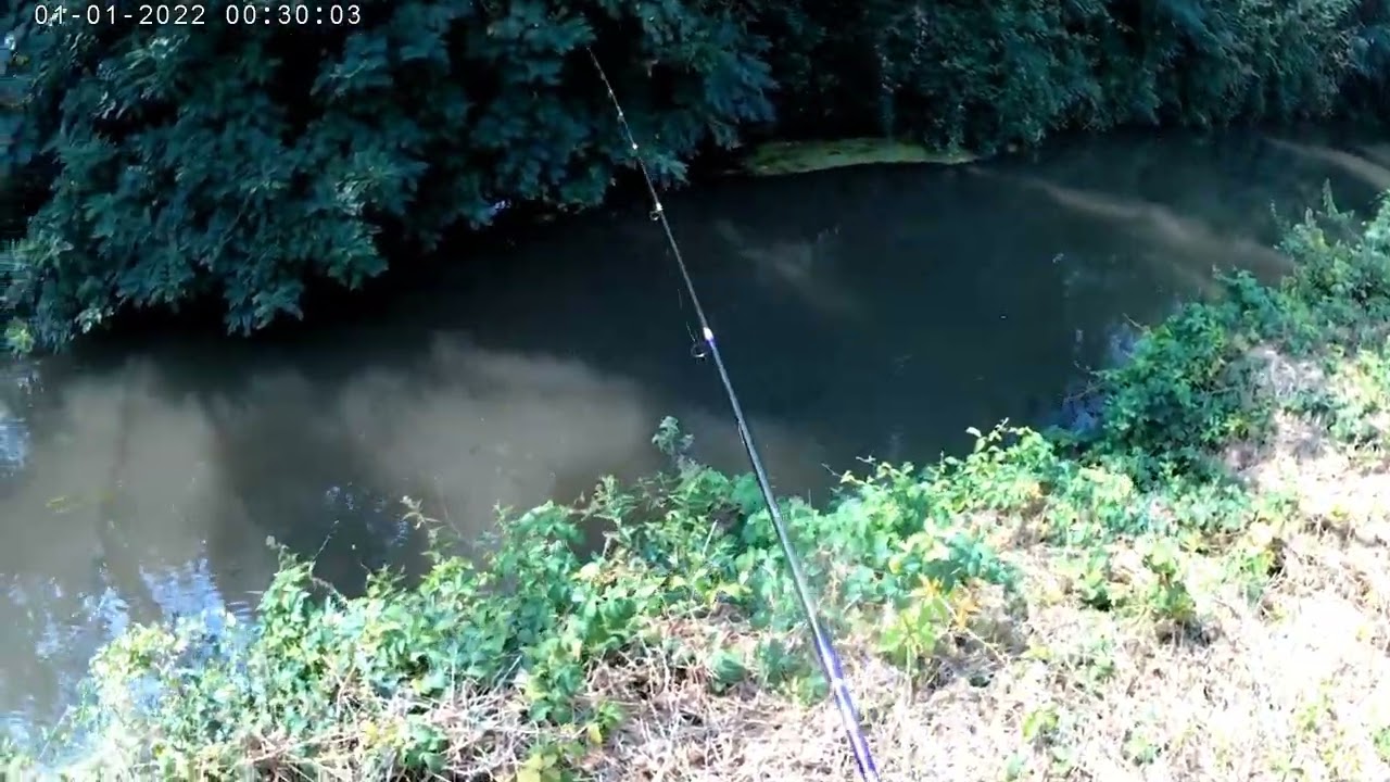 Servono due persone per recuperare questo pesce 