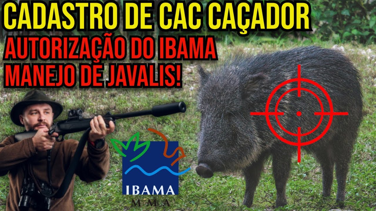 COMO FAZER CADASTRO DE CAÇADOR DE JAVALI NO IBAMA? 2025
