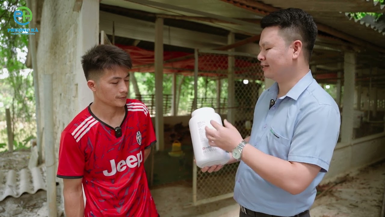 GIỚI THIỆU | CÔNG TY TNHH MTV TM PHƯƠNG HÀ