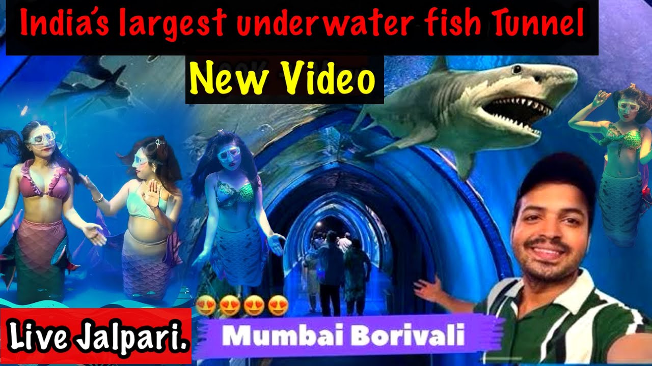 Mermaid Show in mumbai Borivali India’s Largest Underwater Fish Tunnel Just Like Dubai Aquarium 2024