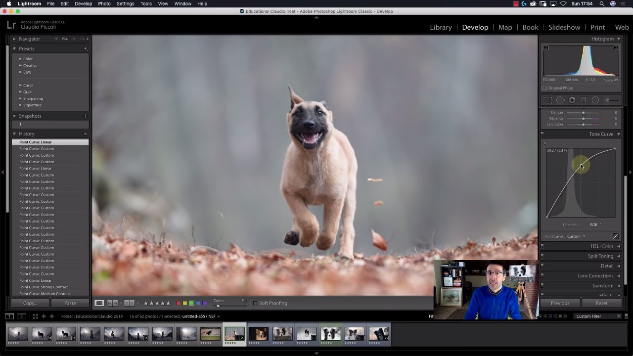 Lesson 3 - How to use the TONE CURVE in Lightroom