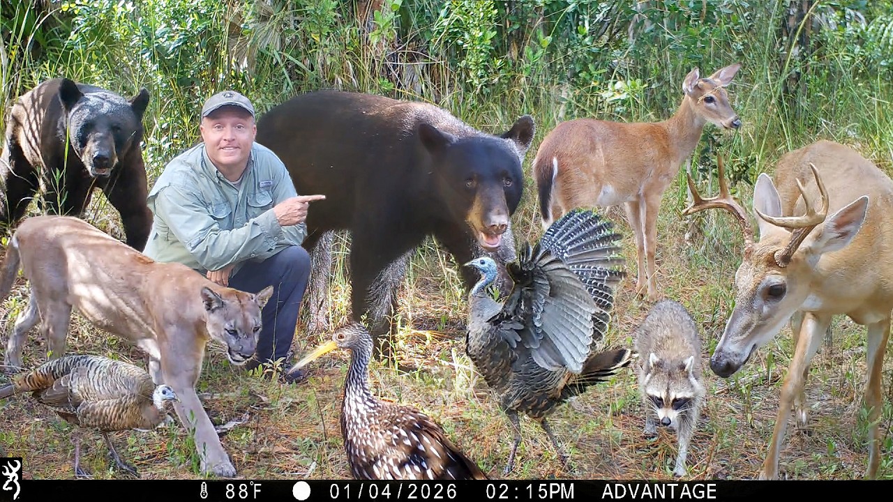Tim Harrell - Browning Recon Force Trail Camera Pickup