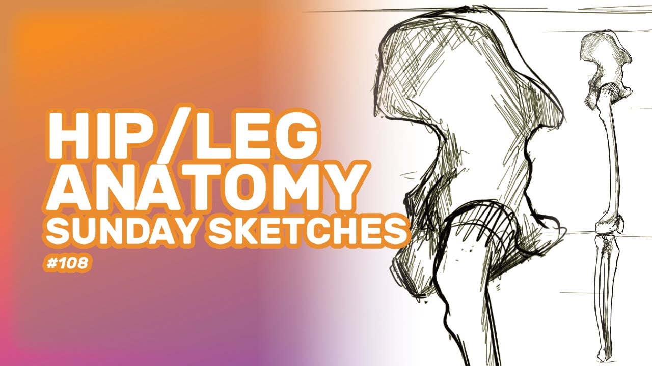 Leg Anatomy Practice - Studying the BONES