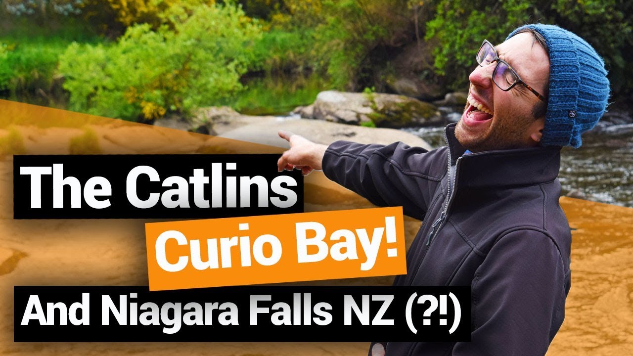 🗺️ Exploring The Catlins: Curio Bay & Niagara Falls &ndash;  New Zealand's Biggest Gap Year