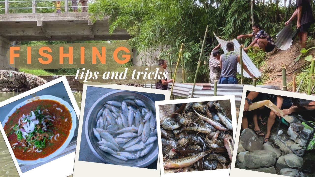 Catch More Fish with These Straightforward Tips and Tricks l Fishing Video