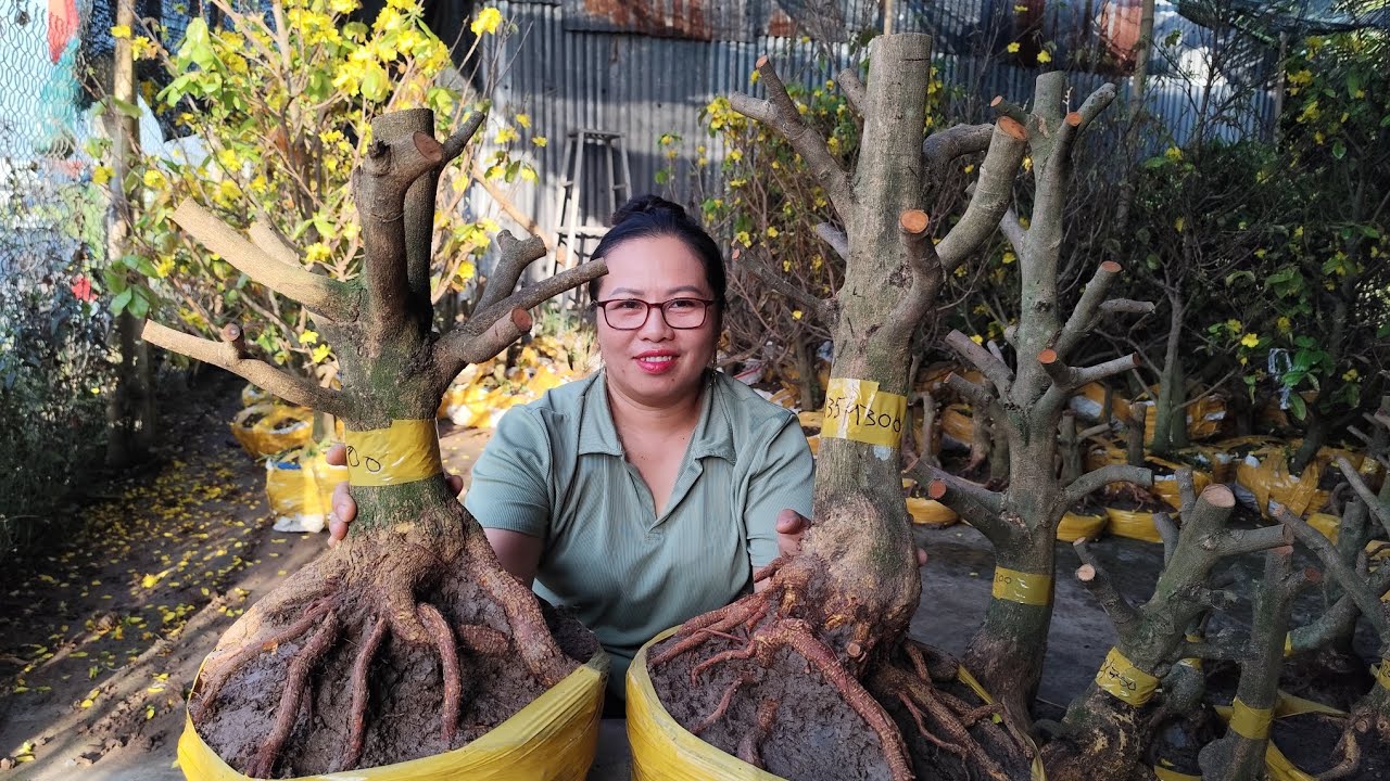 21/2 Dung 0383519488 Mai Phôi Gião Thủ Đức 