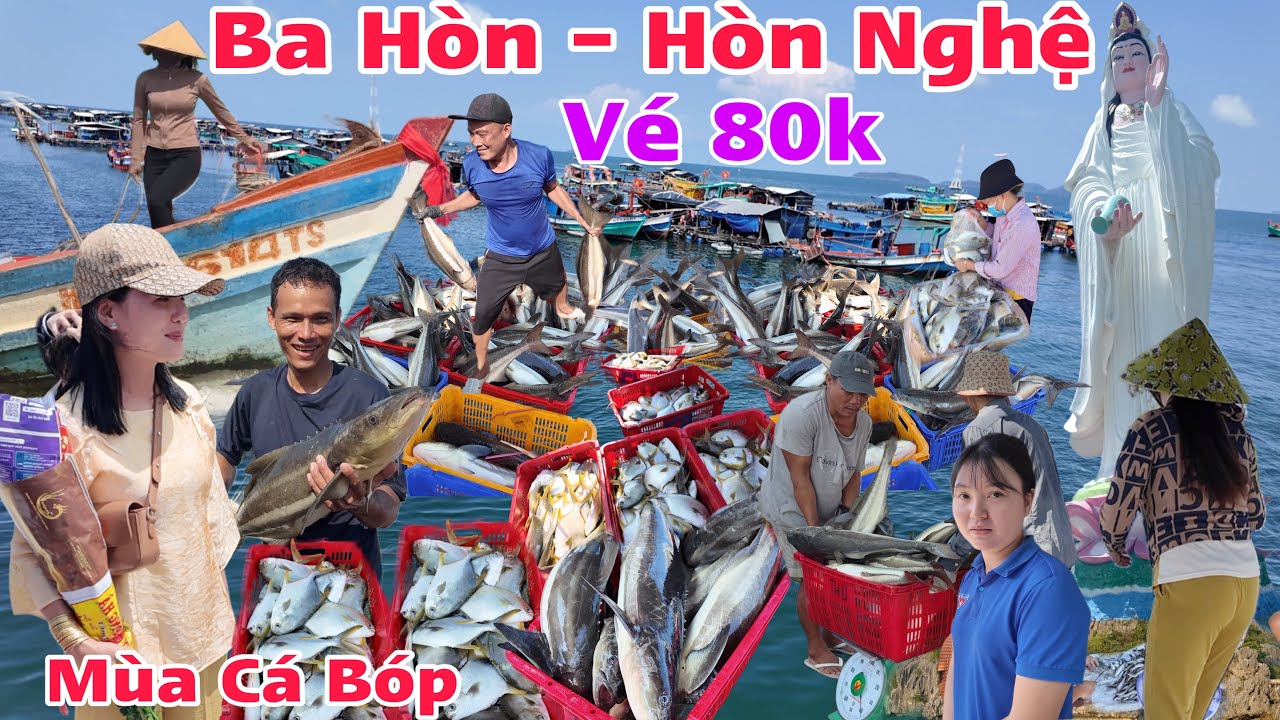 Khám Phá Đảo Hòn Nghệ 2026 đầu năm khách kéo về ùn ùn cúng mẹ quan âm ,chúng mùa cá bóp chim mắc ham