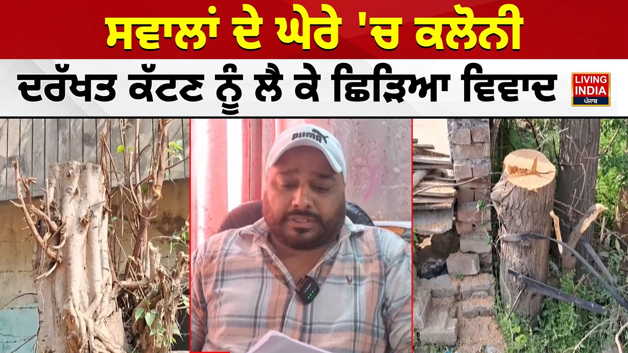 Gurdaspur News | ਸਵਾਲਾਂ ਦੇ ਘੇਰੇ 'ਚ Colony, ਦਰੱਖਤ ਕੱਟਣ ਨੂੰ ਲੈ ਕੇ ਛਿੜਿਆ ਵਿਵਾਦ | Environment Issue