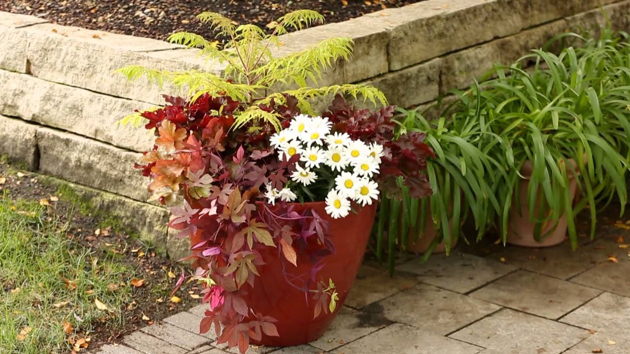 Tips to Save Money in the Yard and Garden