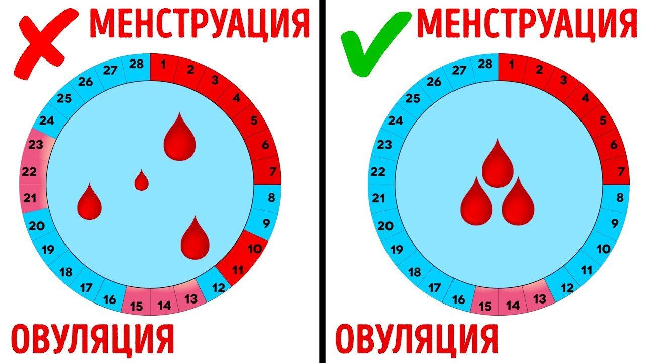 14 Вопросов о Месячных, Которые Вы Стесняетесь Задать Врачу