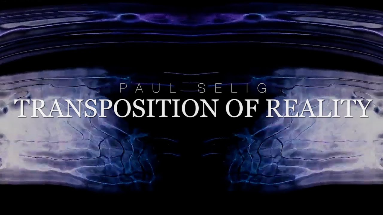 Paul Selig: Transposition of Reality