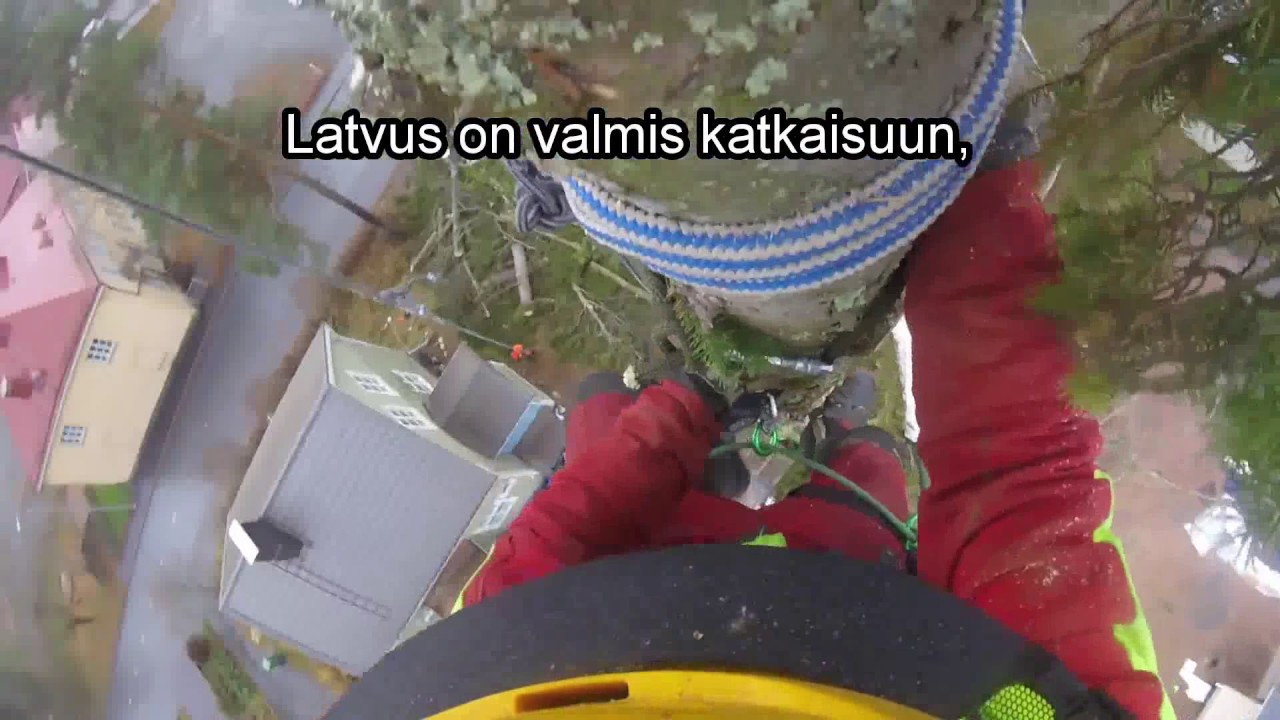 Ongelmapuun kiipeilykaato ja latvan köysisaatto