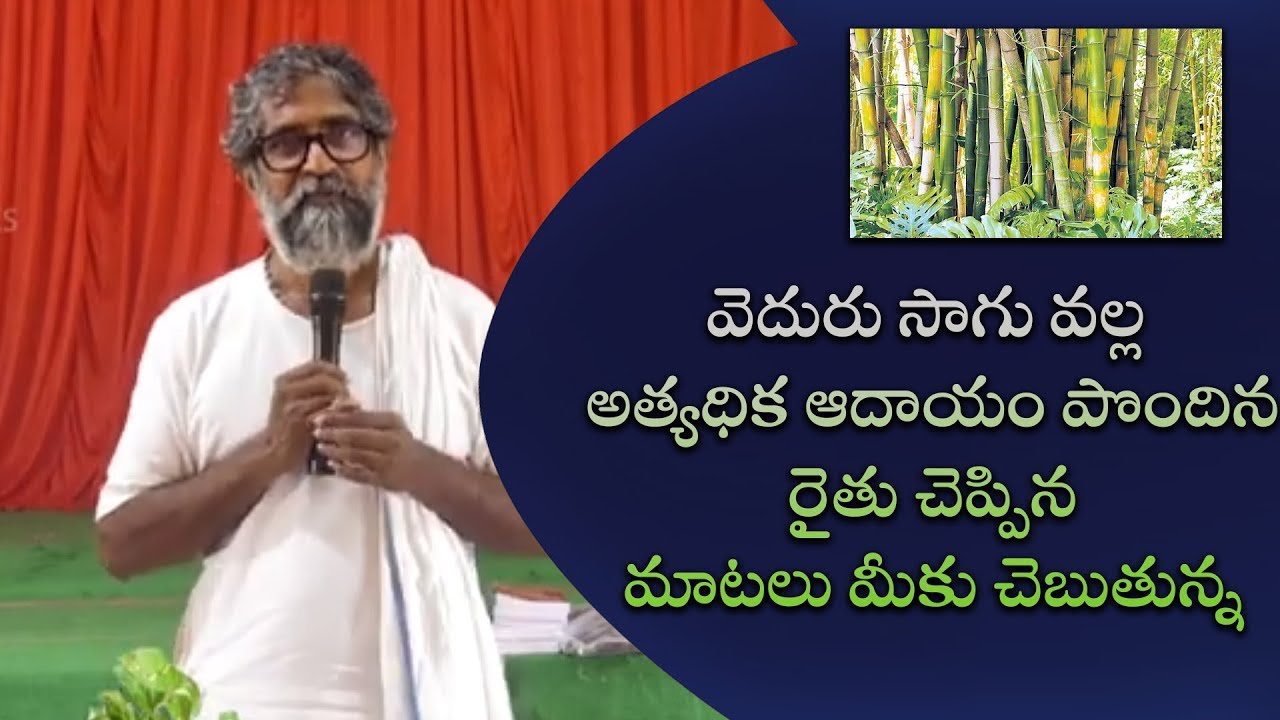 వెదురు సాగు వల్ల అత్యధిక ఆదాయం పొందిన రైతు చెప్పిన మాటలు మీకు చెబుతున్న | Eagle Agro