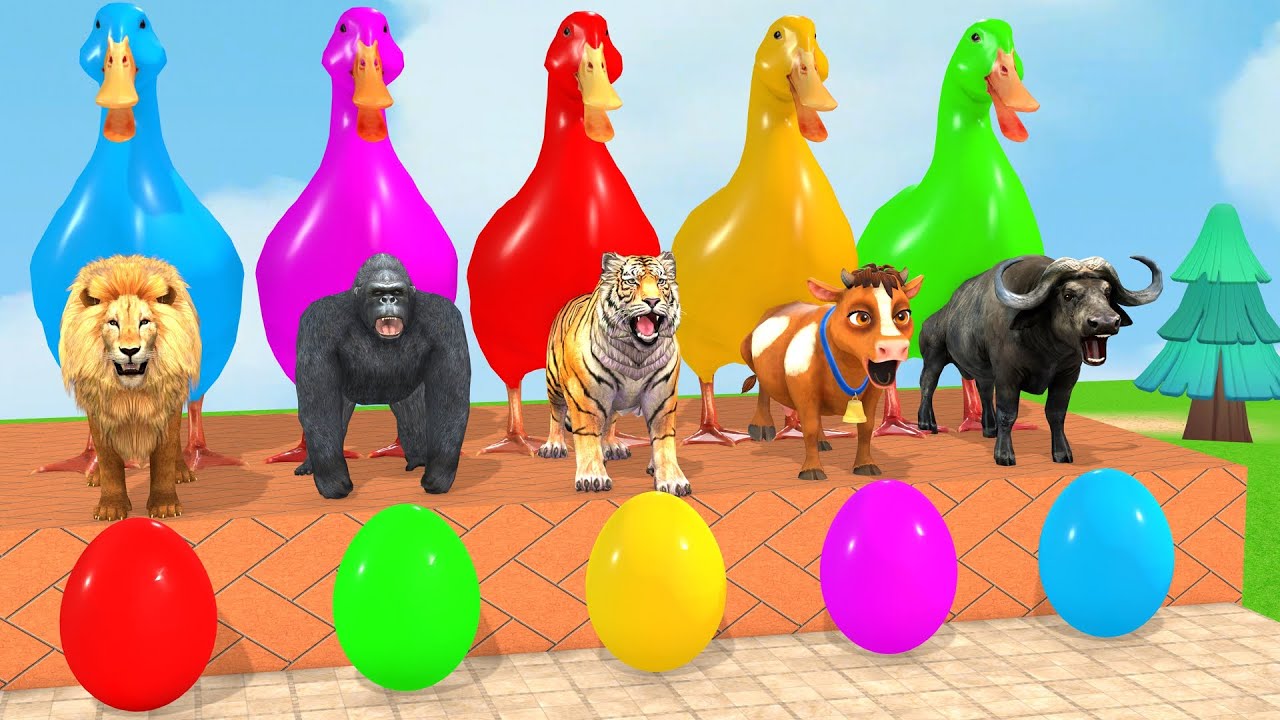 Long Slide Game With Cow Elephant Gorilla Hippopotamus Tiger 3d Animal Game Funny 3d Animals